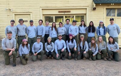 ACF Community Collaborator of the Year