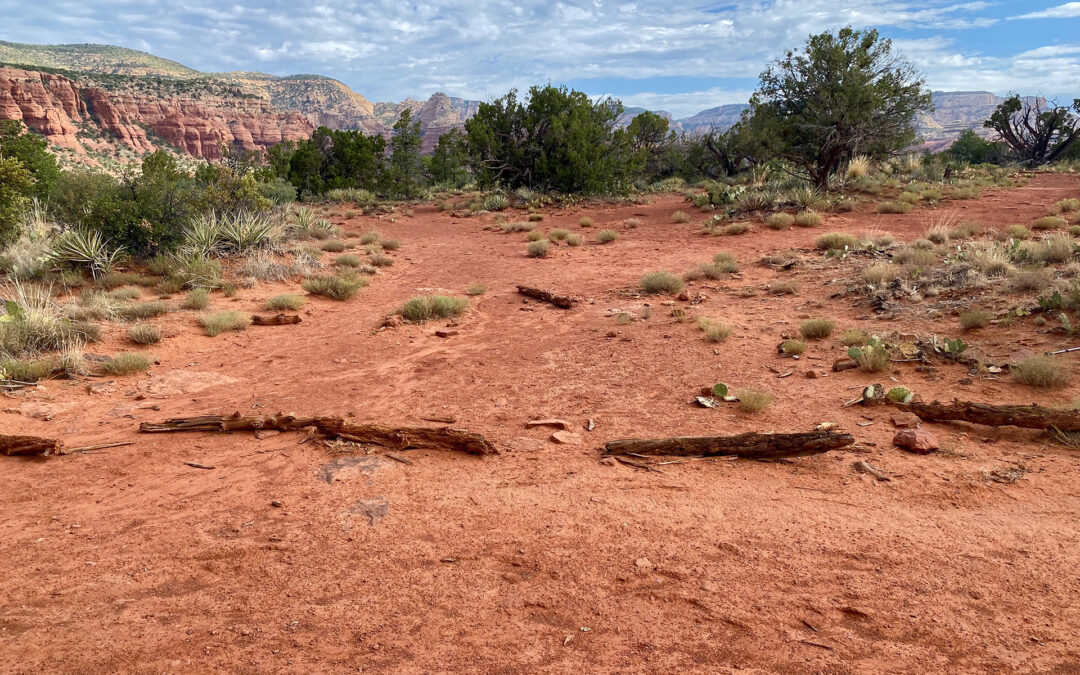 Doe Mountain Figure-8 Trail Under Way