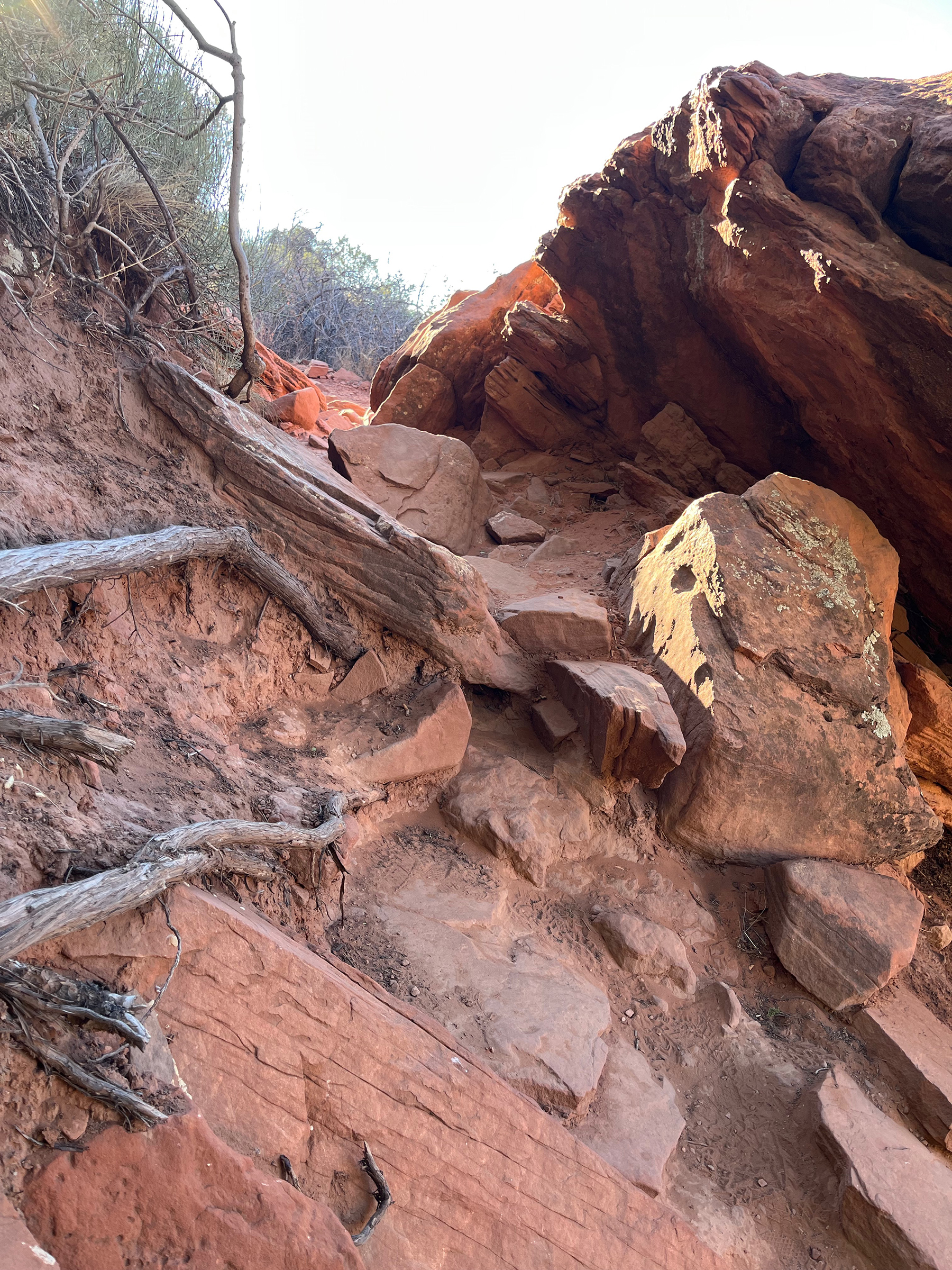 DoeMtn-dilapidated trail 2web