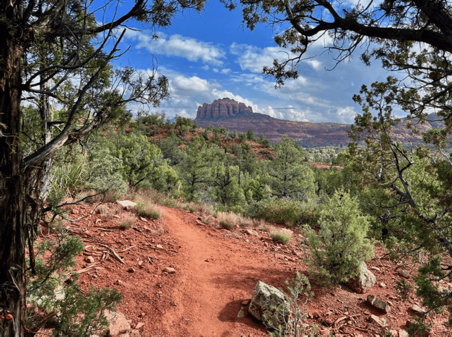 First peek of new Turkey Creek trail system - Sedona Red Rocks Trail Fund